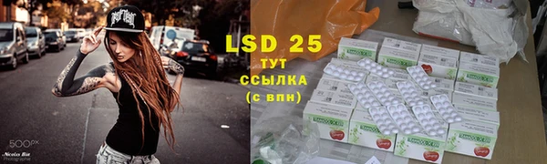 гидра Пересвет