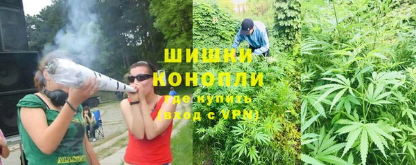 эйфоретик Покачи