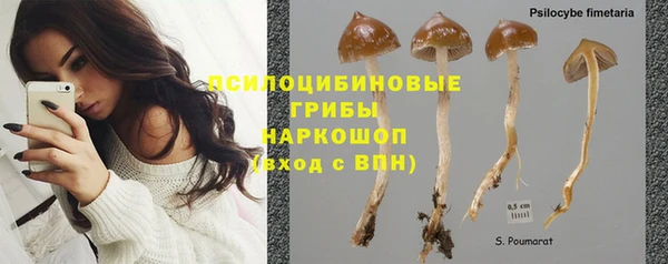 мет Переславль-Залесский