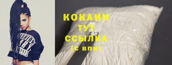 гидра Пересвет