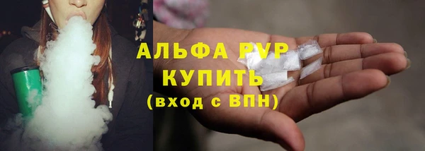 гидра Пересвет