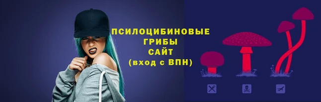 гидра Пересвет