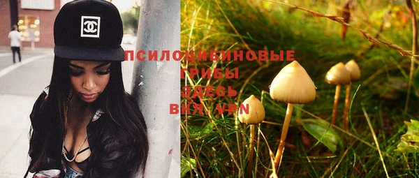 прущая мука Пестово