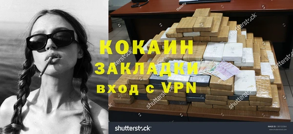 ПСИЛОЦИБИНОВЫЕ ГРИБЫ Шенкурск