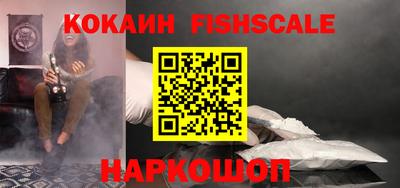 спиды Гатчина