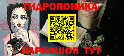 спиды Гатчина