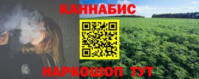 прущие грибы Абакан