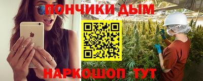 шишки Абакан