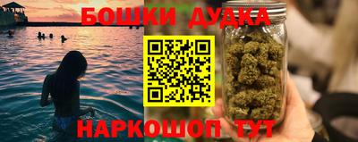 прущие грибы Абакан