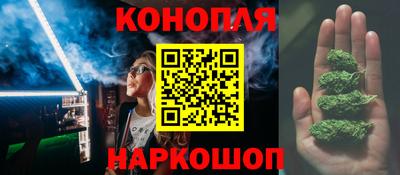 спиды Гатчина