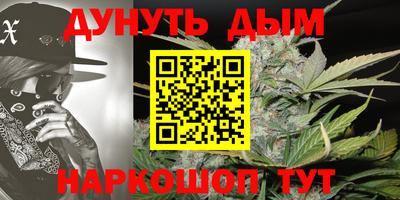 спиды Гатчина