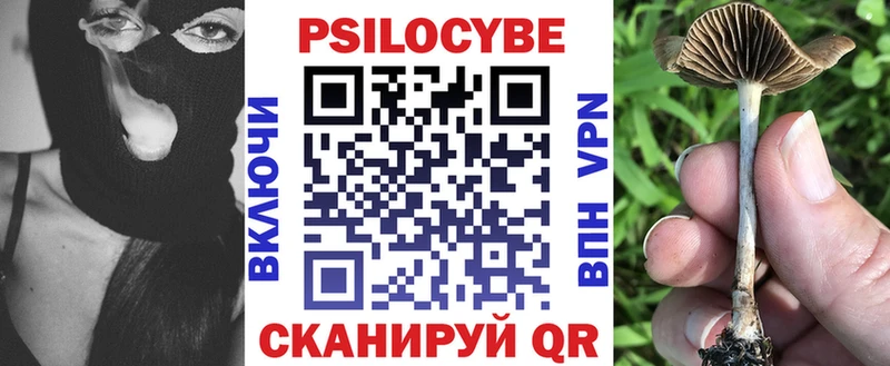 Псилоцибиновые грибы GOLDEN TEACHER  Александров 