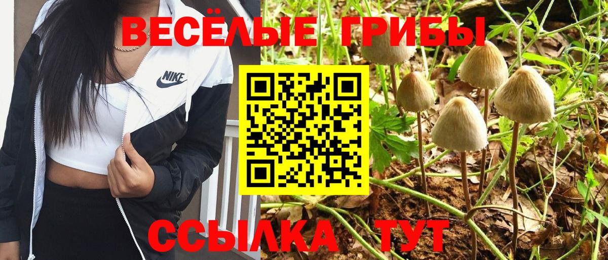 Галлюциногенные грибы Cubensis  как найти наркотики  Александров  Вход с VPN 