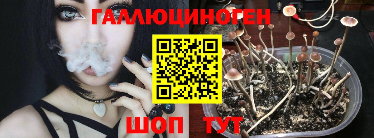 Псилоцибиновые грибы ЛСД  Псилоцибиновые грибы ЛСД  Вход с VPN  Александров 