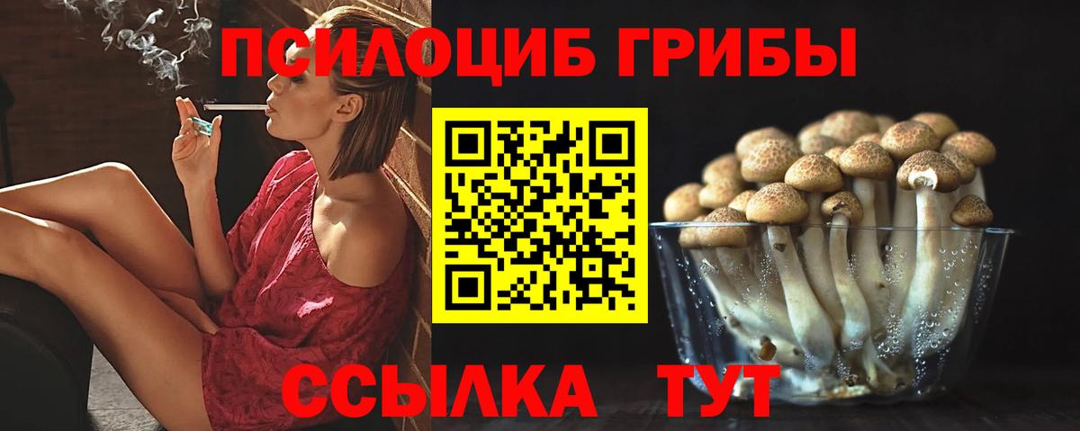 Галлюциногенные грибы Cubensis Александров