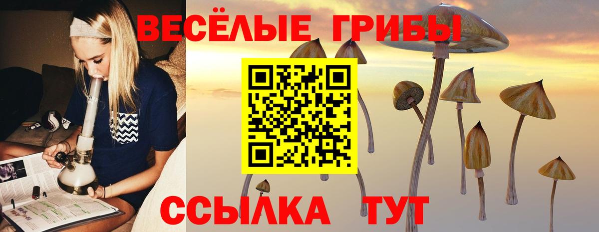 Псилоцибиновые грибы Magic Shrooms Александров